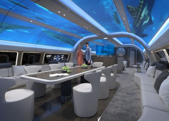 The "underwater" cabin for private jets